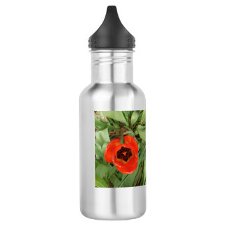 Garrafa de água Tulipa Vermelha