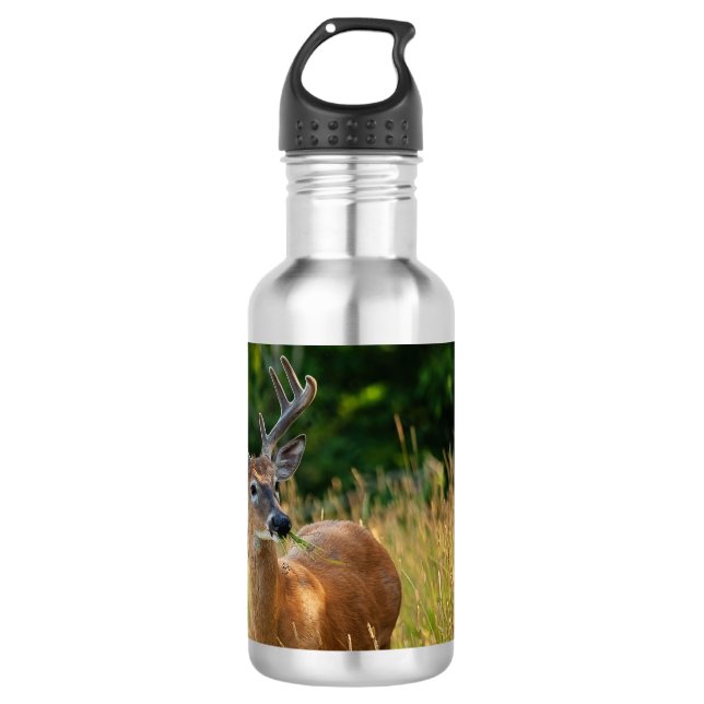 Garrafa Deer Buck (Frente)