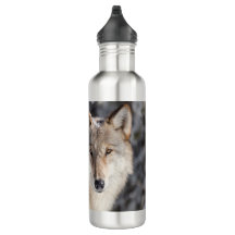 Design da Natureza e Lobo