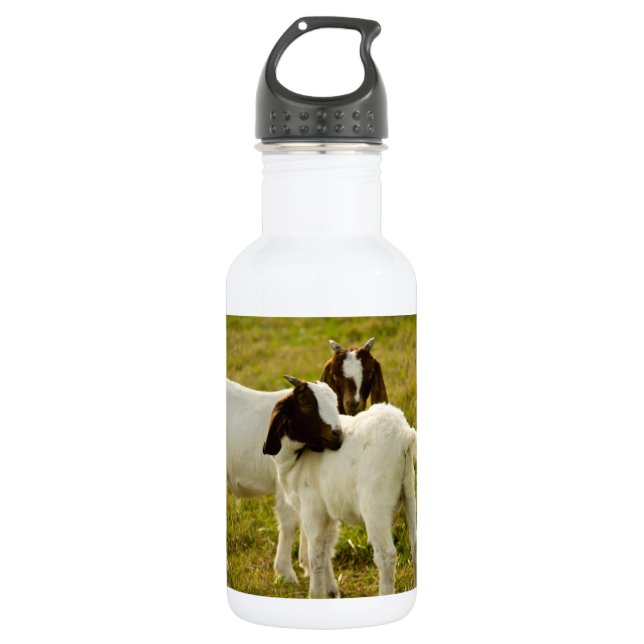 Garrafa Duas cabras Boer fofas (Frente)