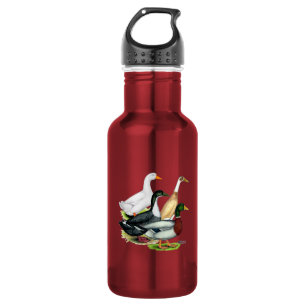 Garrafa Duck Quartet