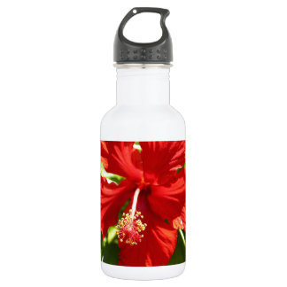 Garrafa Flor Brilhante Red Havaiana Hibiscus