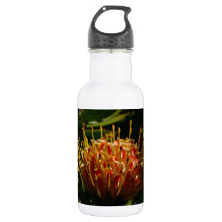 GARRAFA FLOR DE CACTO EXÓTICO LARANJA