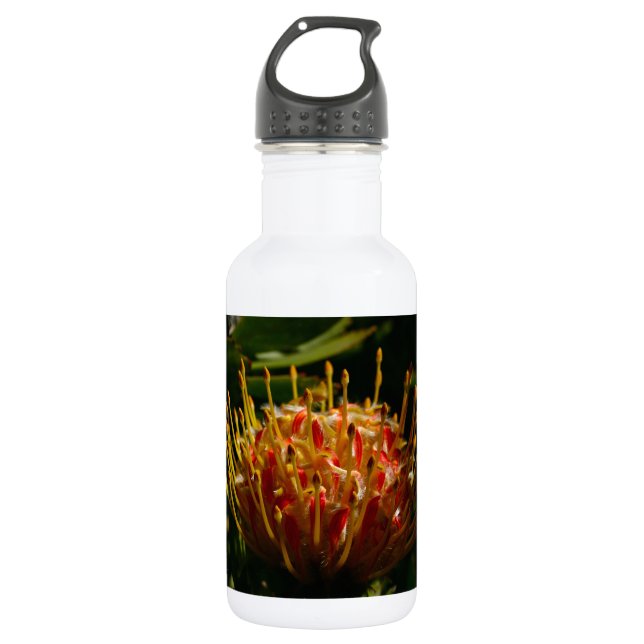 GARRAFA FLOR DE CACTO EXÓTICO LARANJA (Frente)