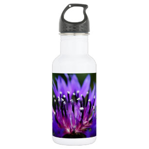 Garrafa Flor de Centaurea Azul Florescem Paz Amor Destino