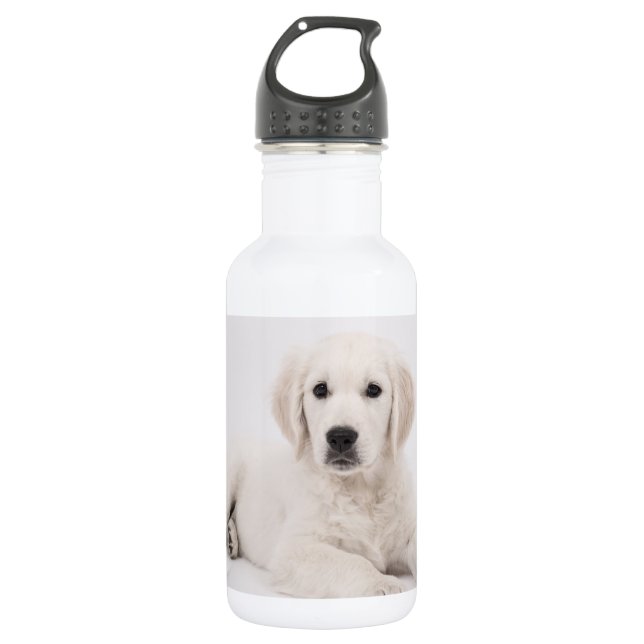 Garrafa Foto de Golden Retriever (Frente)