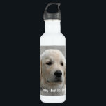 Garrafa Foto personalizada e nome do cão do golden<br><div class="desc">Personalize esta lembrança do cão do golden retriever com sua foto do cão ou do filhote de cachorro e nome (ou a outra foto do animal de estimação ou da pessoa/nome). O texto lê o "melhor cão nunca" ou adiciona seu próprio texto - nós amamos a margarida (o nome do...</div>