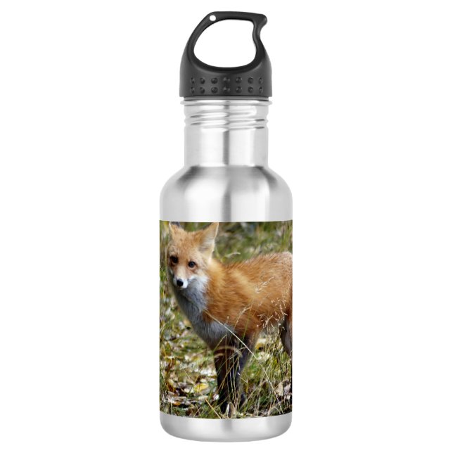 Garrafa Fox (Frente)