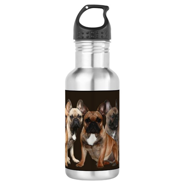 Garrafa französische Bulldogge Rudel French Bulldog  (Frente)