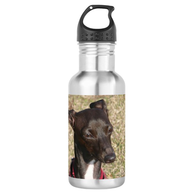 Garrafa galgo italiano.png (Frente)