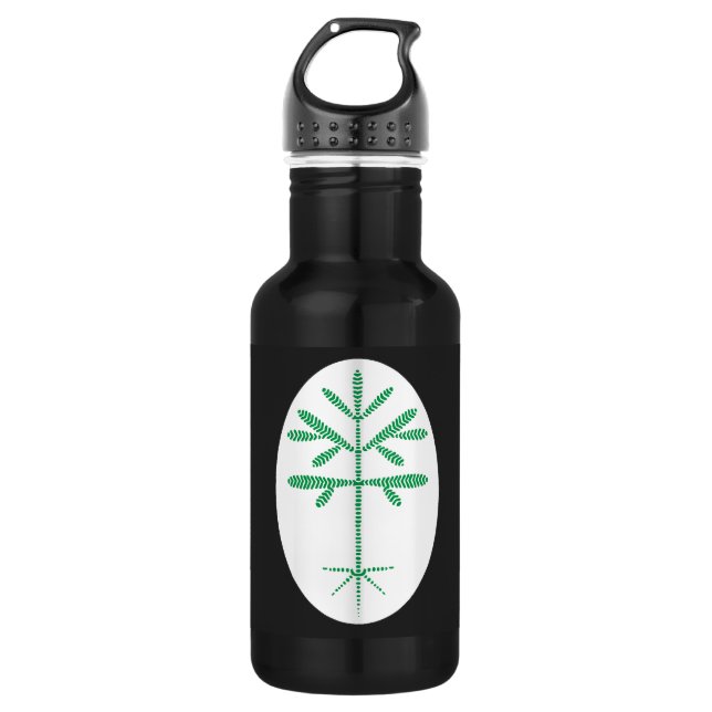 Garrafa Garrafa-d'água a preto com uma vaivém verde (Frente)