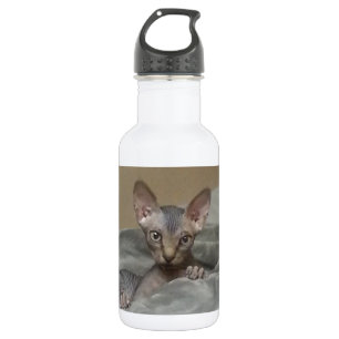Garrafa Gatinho de Spynx