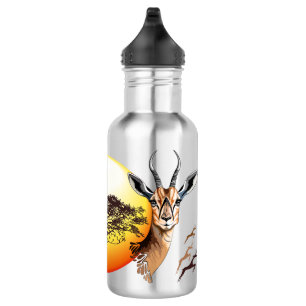Garrafa Gazelle African Antelope Wild Animal