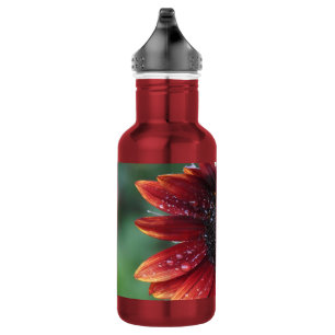 Garrafa Girassol vermelho com gotas da chuva nas pétalas