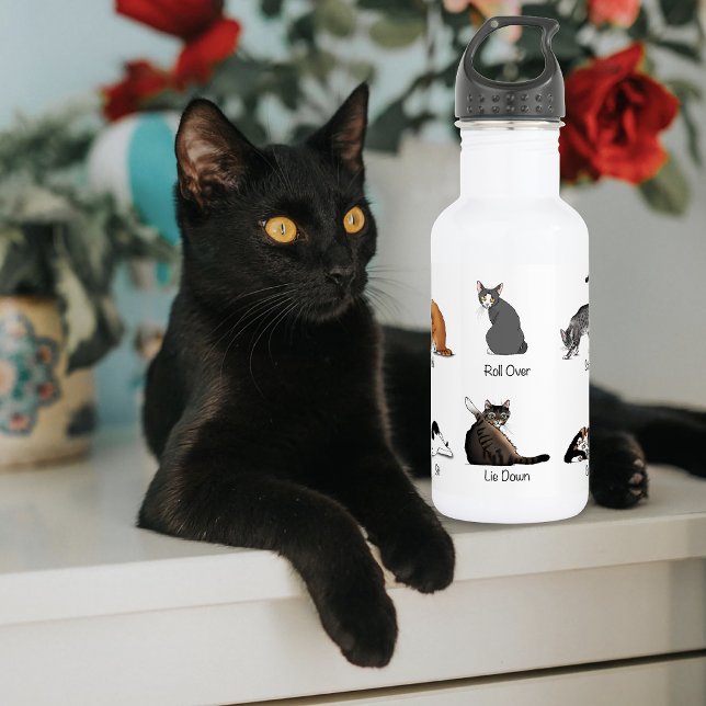 Garrafa Gráfico de Treinamento de Comandos de Gato Diverti (Criador carregado)
