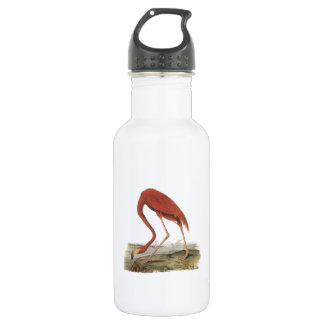 Garrafa Grande Flamingo por Audubon