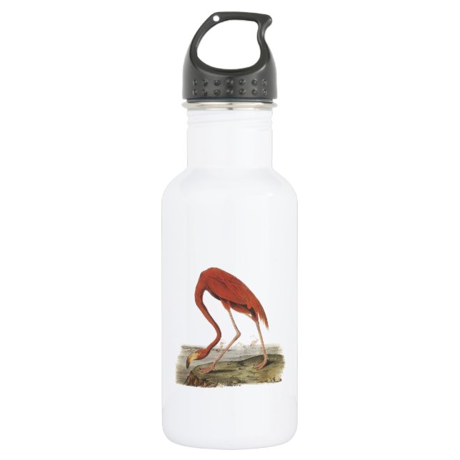 Garrafa Grande Flamingo por Audubon (Frente)