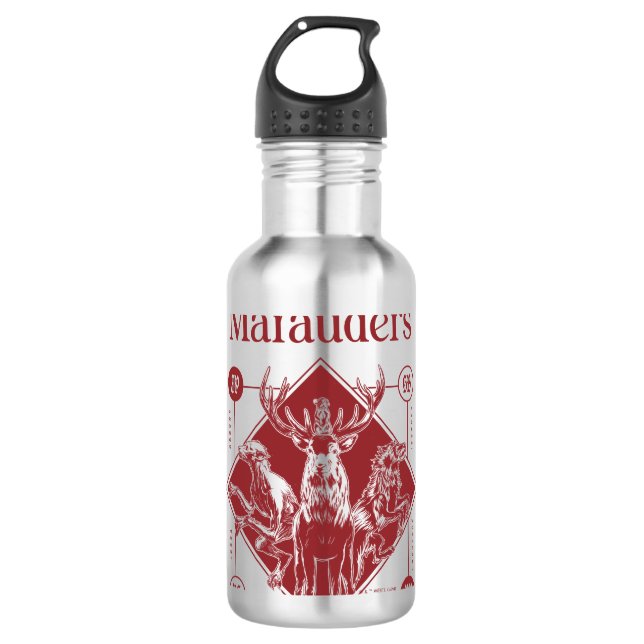 Garrafa HARRY POTTER™ O Gráfico Marauders Animagus (Frente)