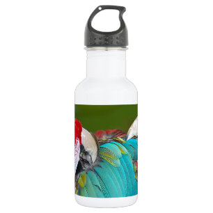 Garrafa Impressão vermelho e azul do papagaio do macaw