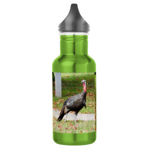 Garrafa Kevin The Turkey - Old Wethersfield , CT (2 fotos)