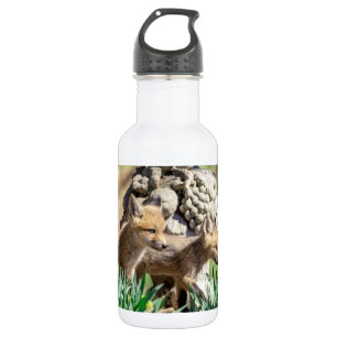 Garrafa Kits Fox no Vale do Hudson