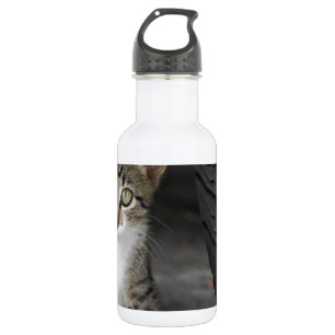 Garrafa Kitty.JPG