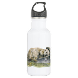 Garrafa Lontra de mar