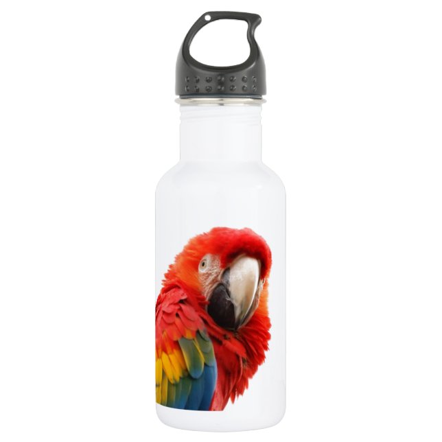 Garrafa Macaw Chic Classy Mod tropical colorido (Frente)