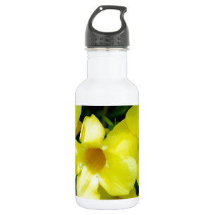 Garrafa Mandevilla.JPG