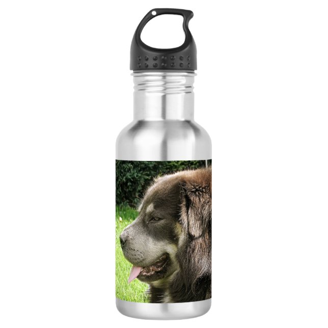 Garrafa mastim tibetano.png (Frente)