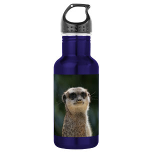 Garrafa Meerkat_2015_0209