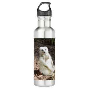 Garrafa Modelo na Natureza: White Meerkat Posing for Camer