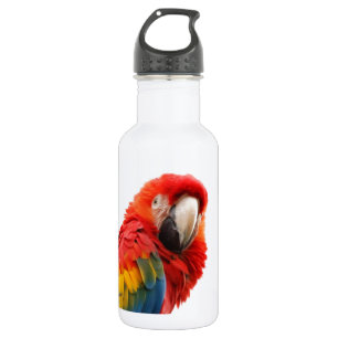 Garrafa Modificação elegante chique do Macaw colorido