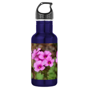 Garrafa Na minha porta