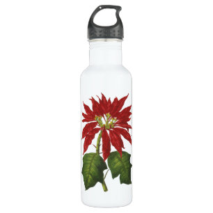 Garrafa Natal Antigo, Planta de Inverno Poinsettia Vermelh