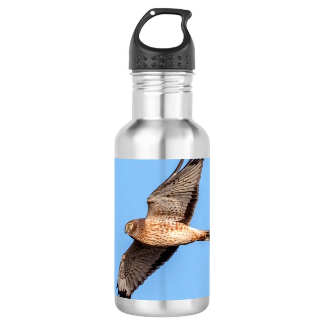 Garrafa Norte Harrier em voo (Frente)