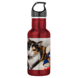 Garrafa Onde Está O Gato De Água De Aço Inoxidável?