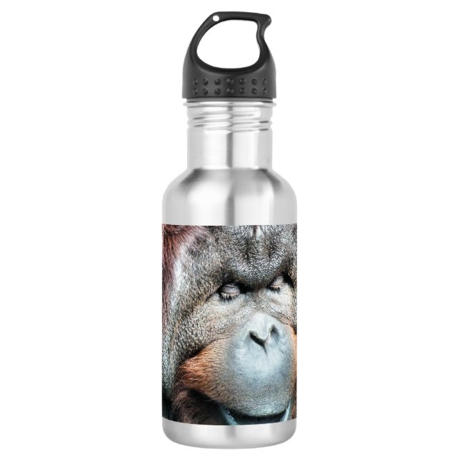 GARRAFA ORANGUTANOS (Frente)