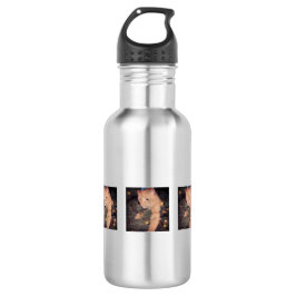 Garrafa Original personalize fotos