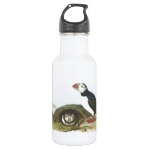 Garrafa Papagaio-do-mar atlântico por Audubon