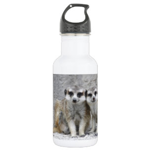 Garrafa Par de Meerkat