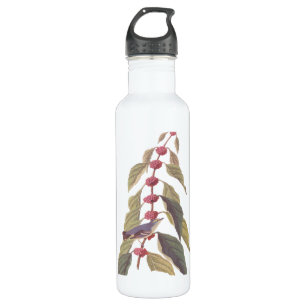 Garrafa Pássaro Canino Verde Azul de Audubon