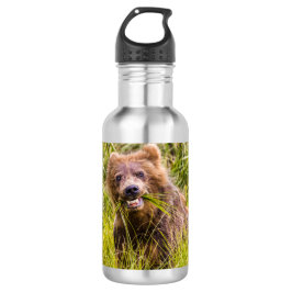 Garrafa Pastagem de filhotes cinzentos no Alasca