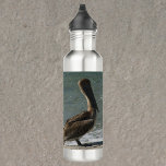 Garrafa Pelicano na praia perto do oceano Fotografia<br><div class="desc">Você gosta de pelicanos? Você gosta de garrafas d'água com tema de pássaros? Esta garrafa de água tem uma foto de um pelicano marrom parado na areia perto do oceano.</div>