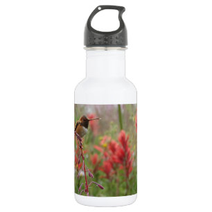 Garrafa Pequeno pássaro gordo