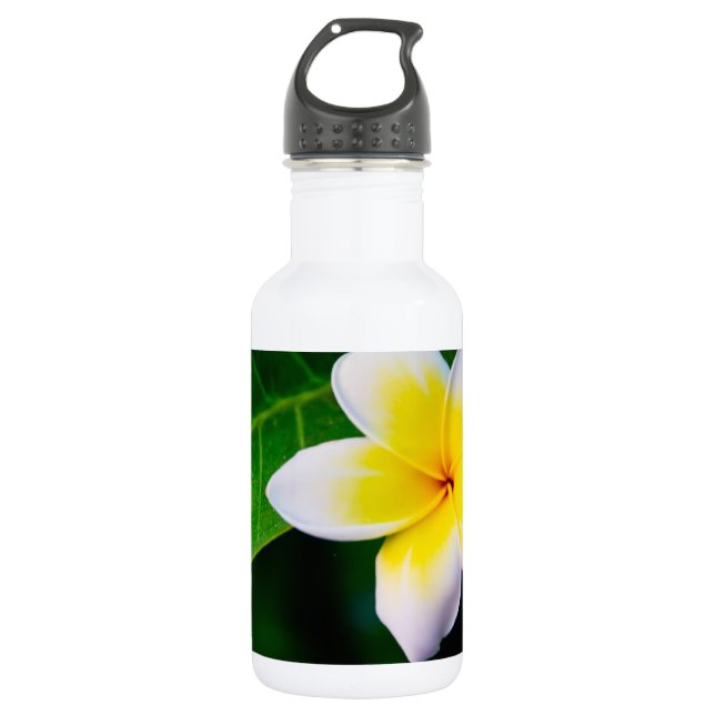 Garrafa plumeria (Frente)
