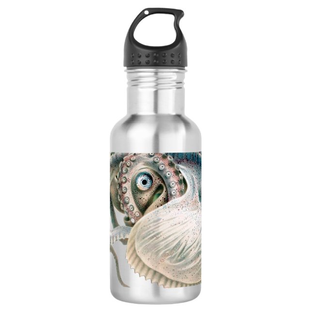 Garrafa Polvo Argonauta, Animais Marinhos Antigos (Frente)