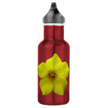 Potentilha Arbustiva #1