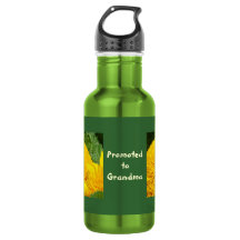 Promovido a Avó Girassóis
