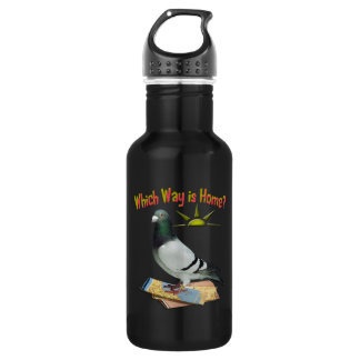 Garrafa Que maneira é casa? Arte do pombo